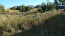 GEDC0055.JPG