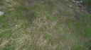 Filename=GEDC0152.JPG
Filesize=2937KiB
Dimensions=2048x1150
Date added=Apr 30, 2025 GEDC0152.JPG