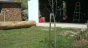 Filename=GEDC0155.JPG
Filesize=2403KiB
Dimensions=2048x1150
Date added=Apr 30, 2025 GEDC0155.JPG