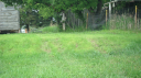 Filename=GEDC0187.JPG
Filesize=2756KiB
Dimensions=2048x1150
Date added=Apr 30, 2025 GEDC0187.JPG