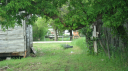 GEDC0188.JPG