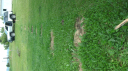 Filename=GEDC0203.JPG
Filesize=3072KiB
Dimensions=2048x1150
Date added=Apr 30, 2025 GEDC0203.JPG